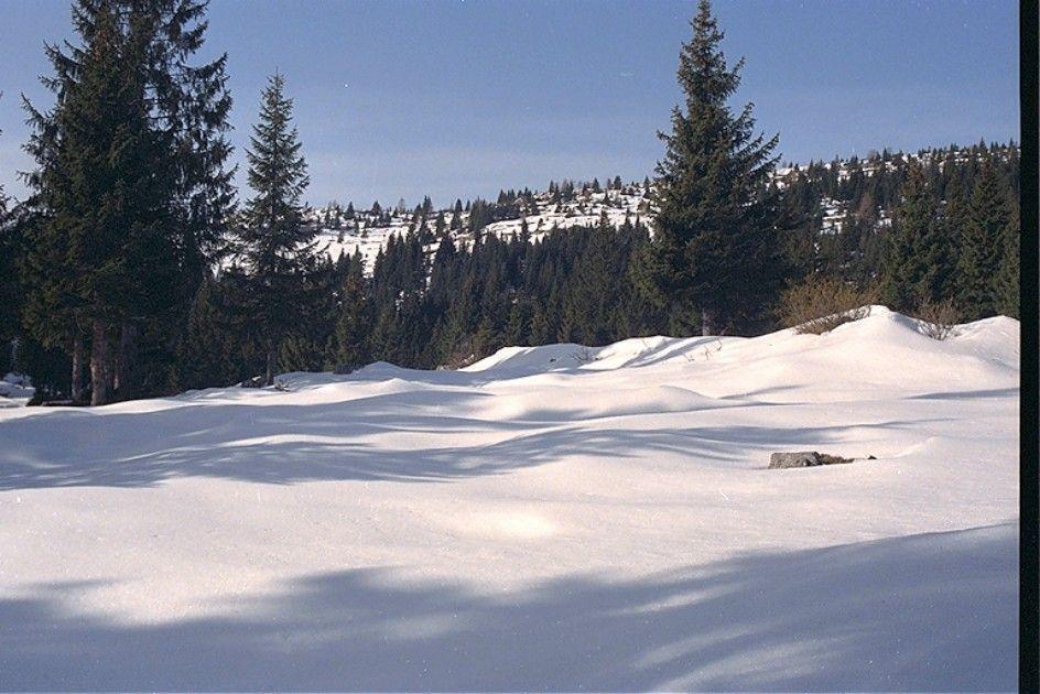 Albergo Al Pino Enego Εξωτερικό φωτογραφία